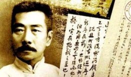 鲁迅最新爆料事件视频大全,揭秘历史真相与时代风云