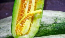 网红吃瓜金伊娜